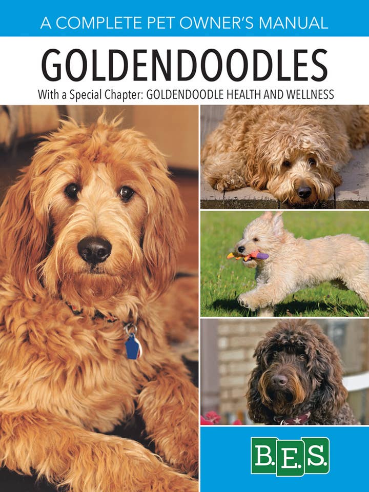 Goldendoodles for wholesale by Sourcebooks