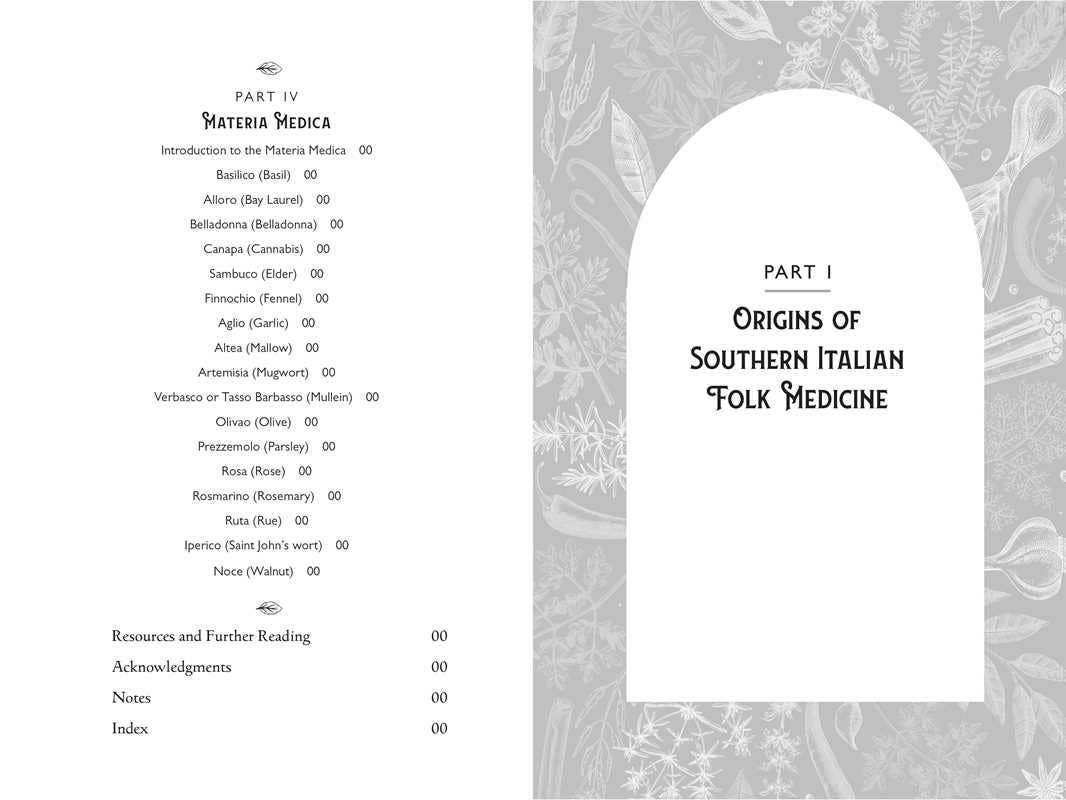 Simon & Schuster - Wholesale Medical Health - Della Medicina by Lisa Fazio2