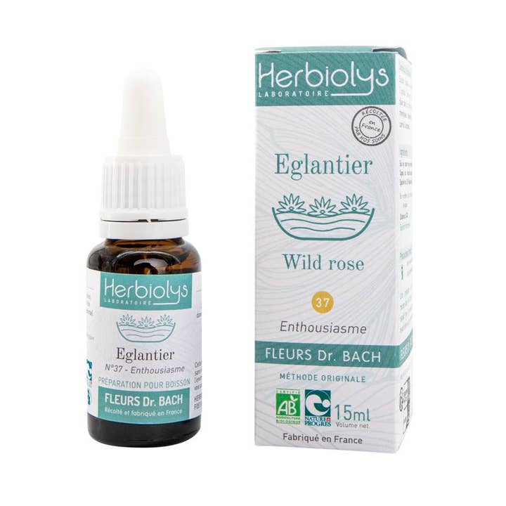 Wild Rose Floral Elixir (No. 37) for wholesale by Herbiolys