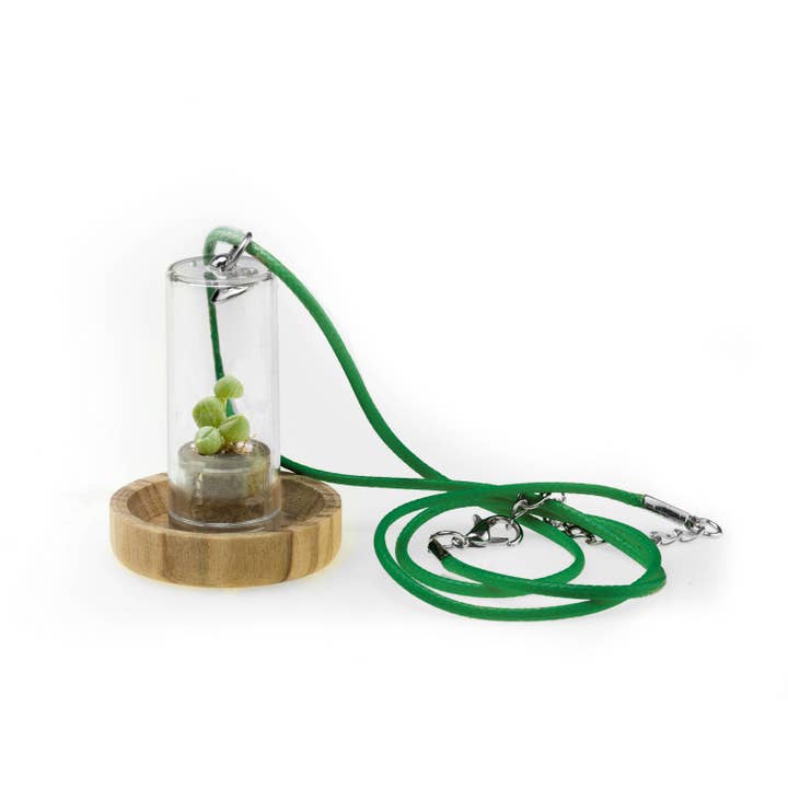 MINÌ®Italia di Luigi Paolicchi - Wholesale Kids Necklace - Kids - Minì the Jewels - Colors Fun Necklace - small cactus plants2