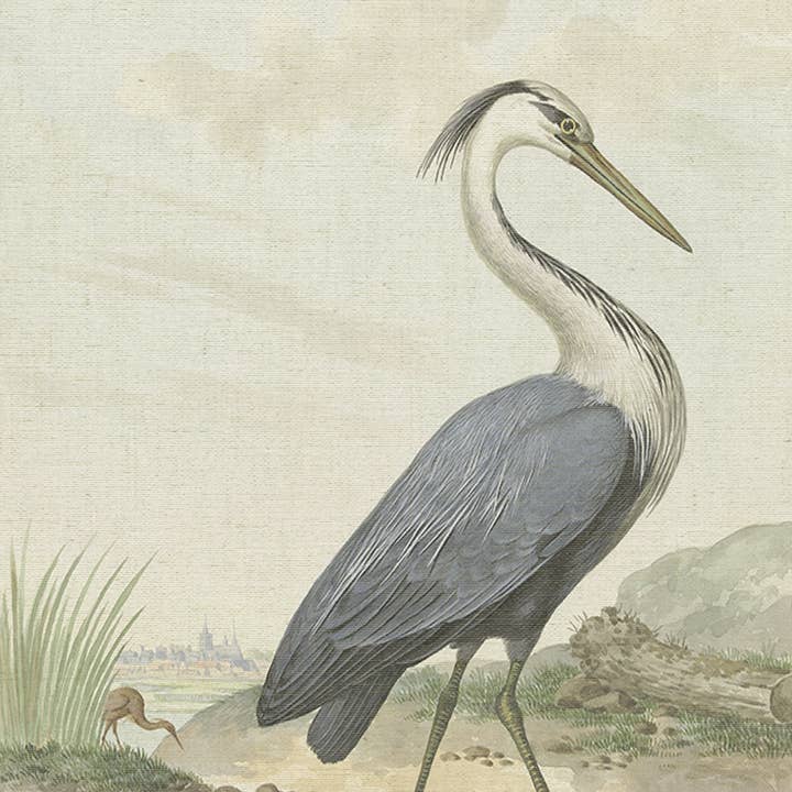 SPLASHWORKS - Wholesale Art Print - Bird by the Water0