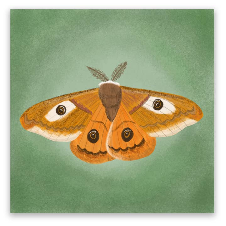 Emperor Moth Illustration Art Print for wholesale by Proper Wolf