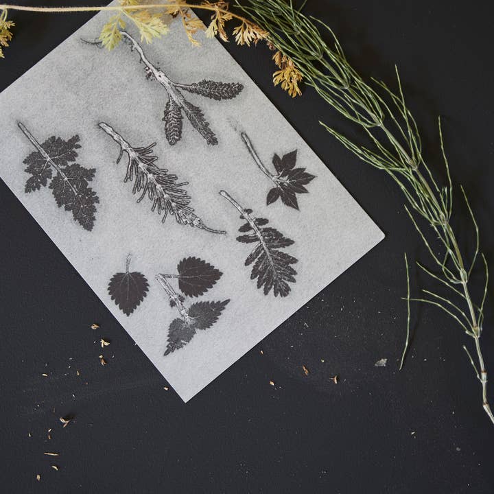 PERNILLE FOLCARELLI - Wholesale Art Print - Wild herbs green A51