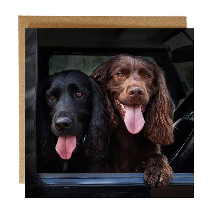 Two Spaniels - Dog Greeting Card for wholesale by Alex Sharp