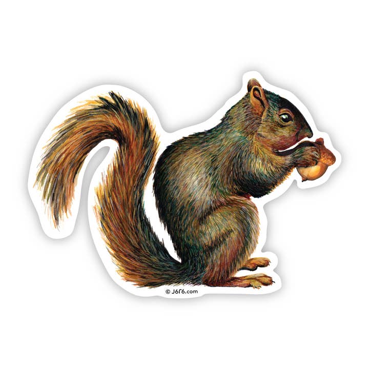 Squirrel Vinyl Sticker for wholesale by J6R6