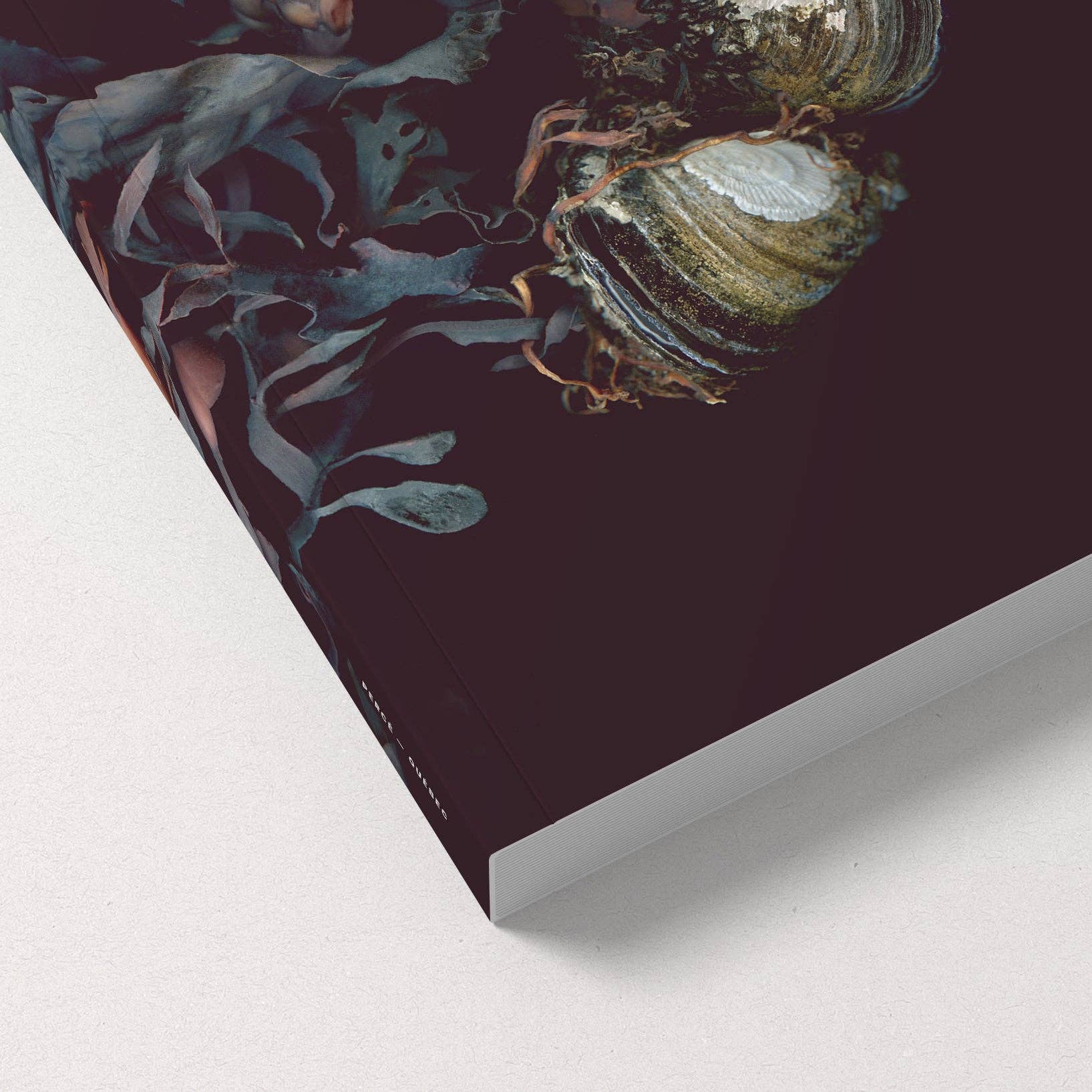 Raoul & Simone - Wholesale Notebook - Notebook / Les Jumelles de l'Anse1