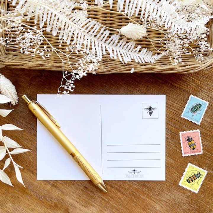 Candace Fincher - Venta al por mayor Tarjeta postal - Postales con setas