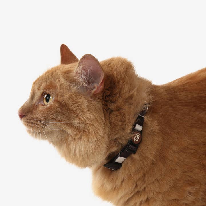 Toh - Wholesale Pet Collar - Cat - Coleira de Gato Eclipse2