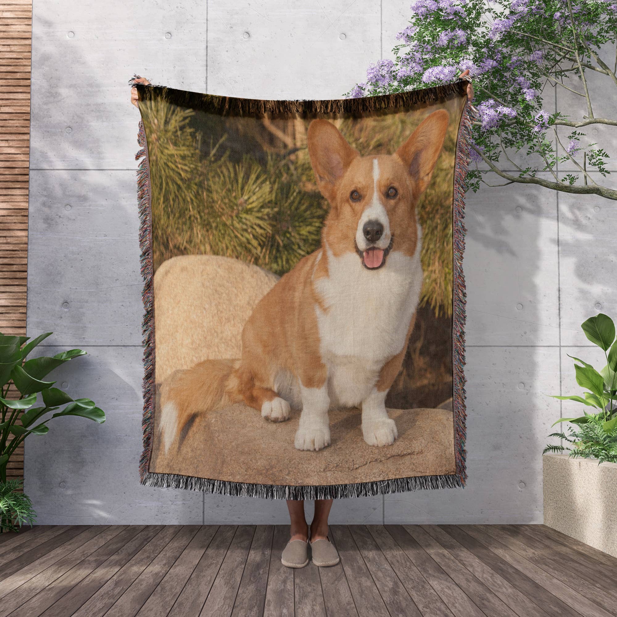 3dRose - Wholesale Throw Blanket - 3dRose, Purebred Cardigan Welsh Corgi Dog on rock - NA02 PWO0023 - PiperAnne Worcester, Blanket2