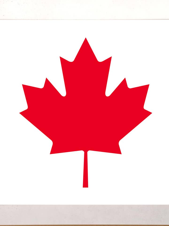 Flag of Canada for wholesale by The Brightener Group