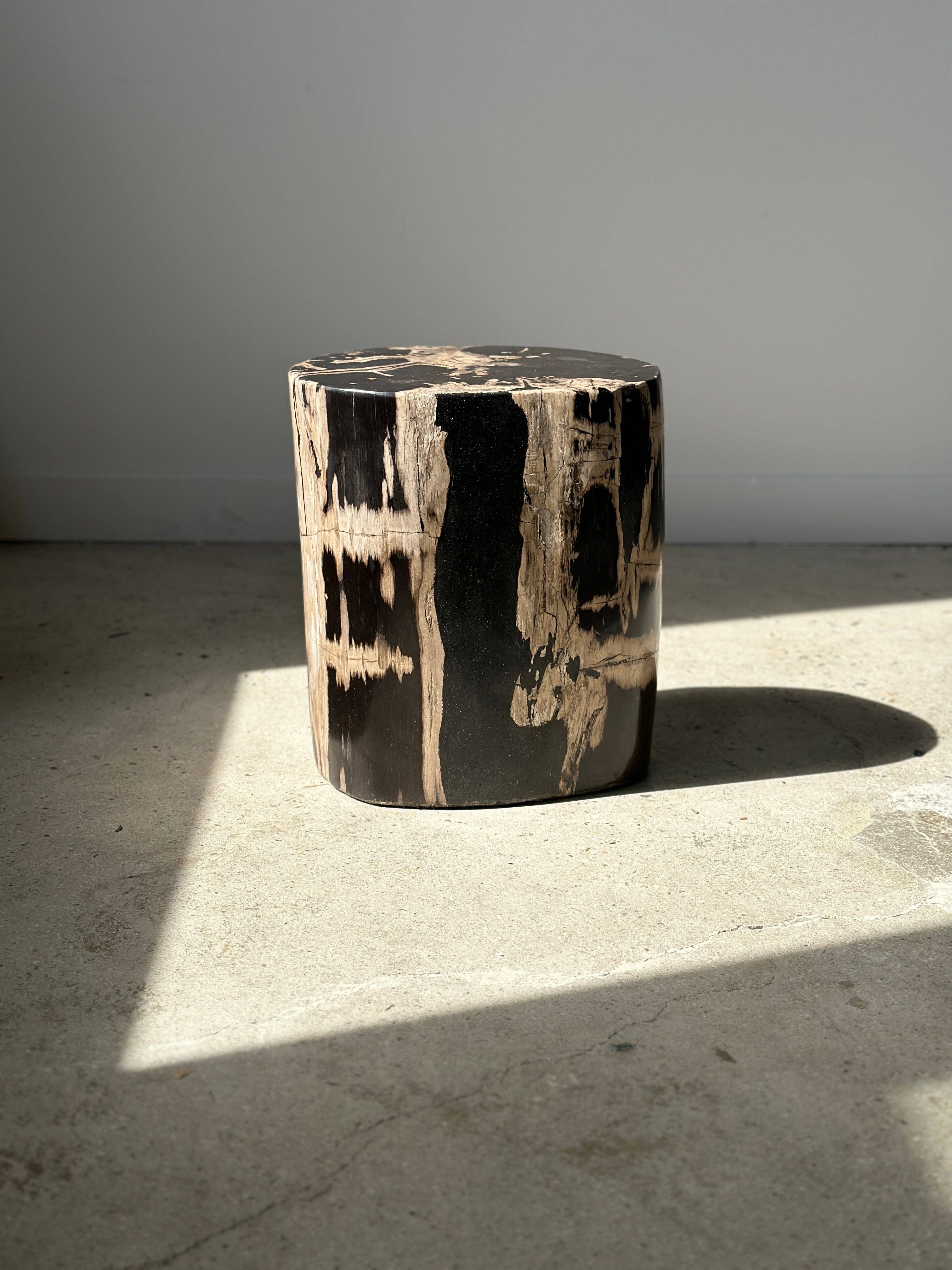 Office Objets - Vente Tables d'appoint - Table d'appoint en bois pétrifié5