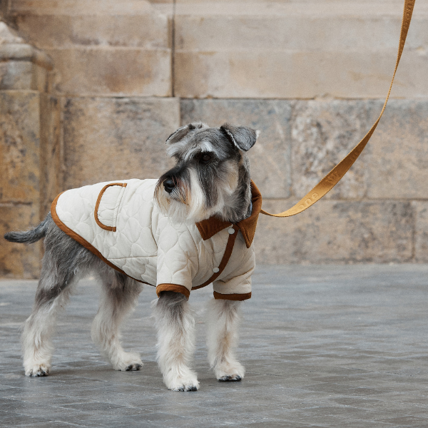 ARISTOPET – wholesale Hundjacka - Hund – Spencer-jacka för husdjur med vaddering och stilren design9