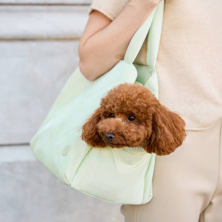 Pups & Bubs - Wholesale Pet Carrier - Dog - Destination Pet Carrier Tote