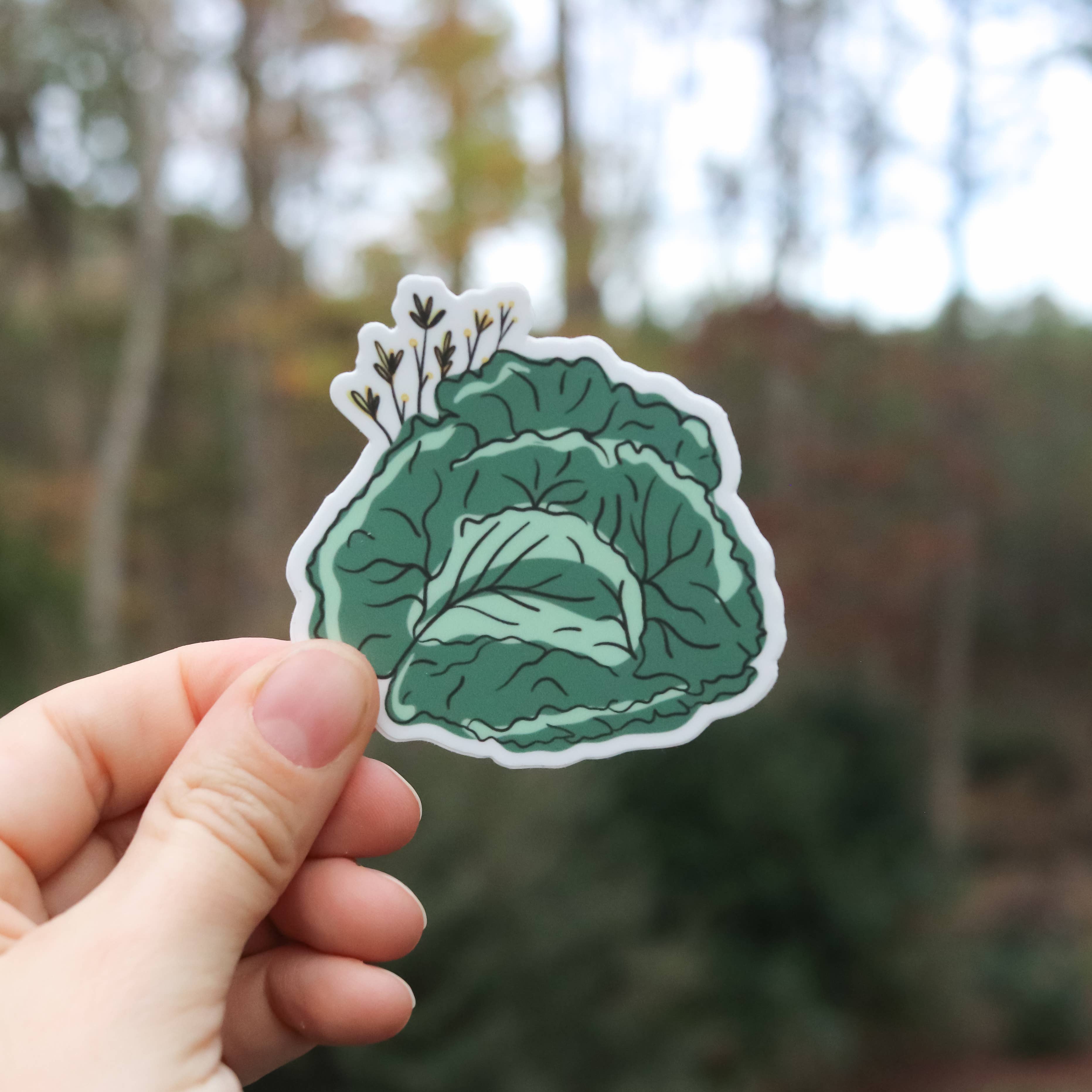 Overflow & Co. - Wholesale Sticker - Head of Lettuce Sticker1