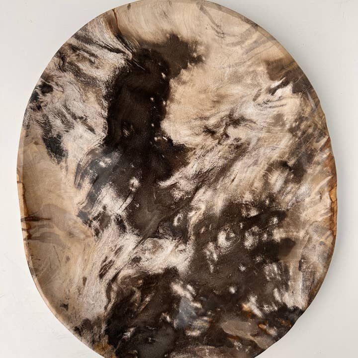 Office Objets - Wholesale Decorative Plate/Dish/Bowl - Very large catchall or dish in petrified wood9