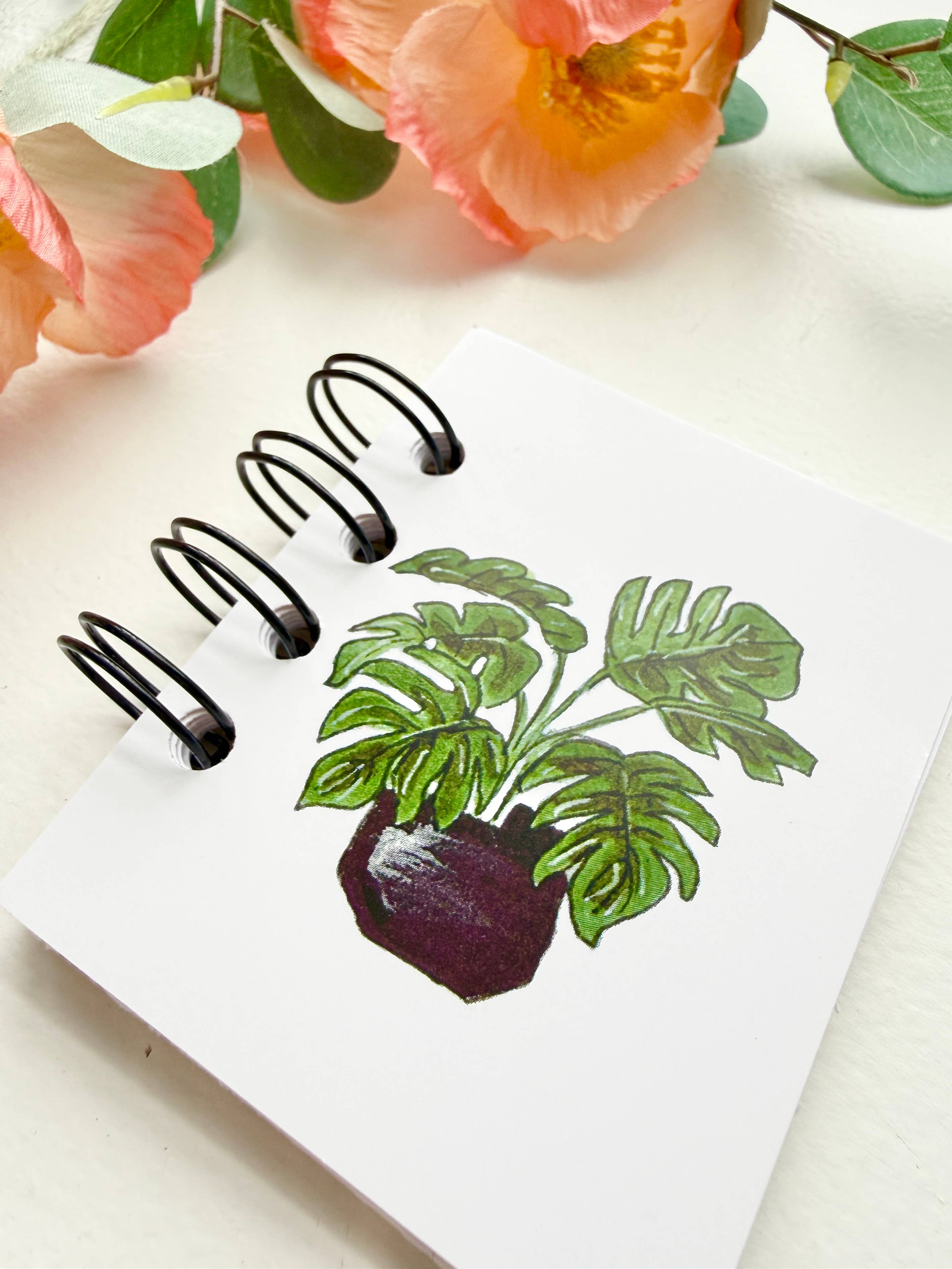 D. Prince Designs - Wholesale Notebook - Hand-Illustrated + Handmade Mini Notebook/Sketchbook | Monstera Houseplant1