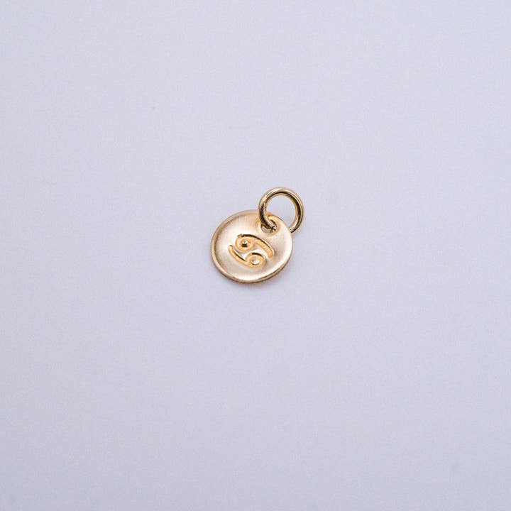 Hannah Naomi - Wholesale Individual Charm/Pendant - Tiny Zodiac Circle Charm, SOLID 14K Gold3