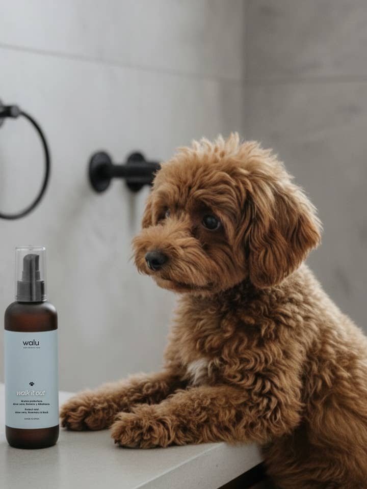 Bruma protectora para perros para venta al por mayor de Walu Pets