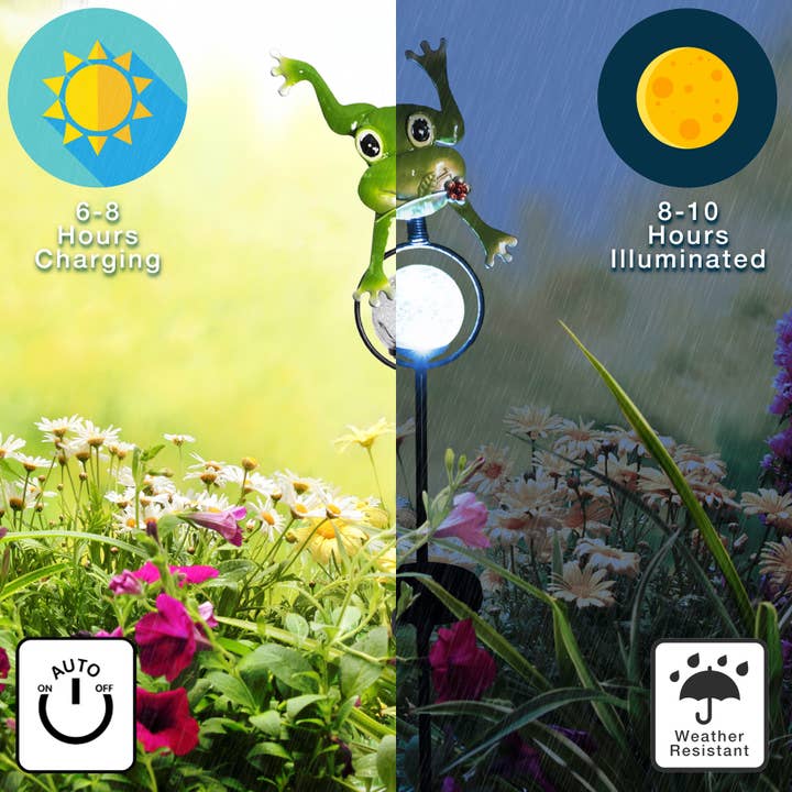 Forever Gifts Inc. - Vendita all'ingrosso Paletti da giardino/prato - Luce solare da giardino a forma di rana3