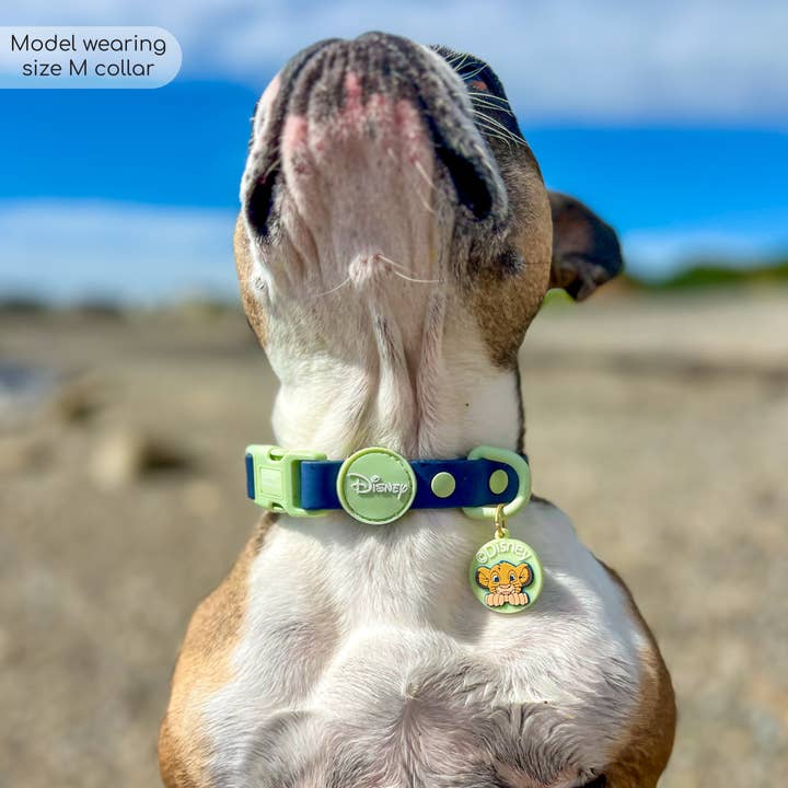 Pawsome Paws - Wholesale Pet Collar - Dog - Disney© Waterproof Collar - Simba7