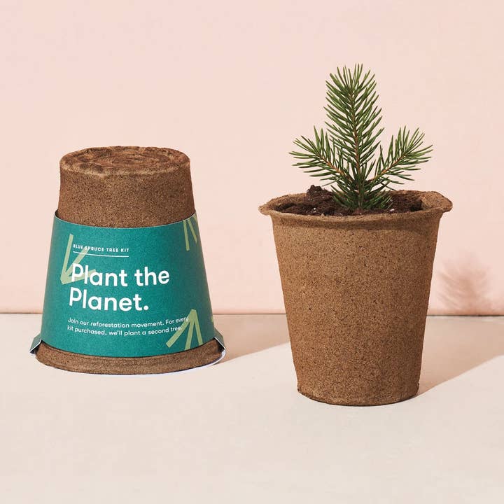 „Get Growing” Mindful set voor het kweken van bosbomen - Blue Spruce voor wholesale door UpRoot Design Studio