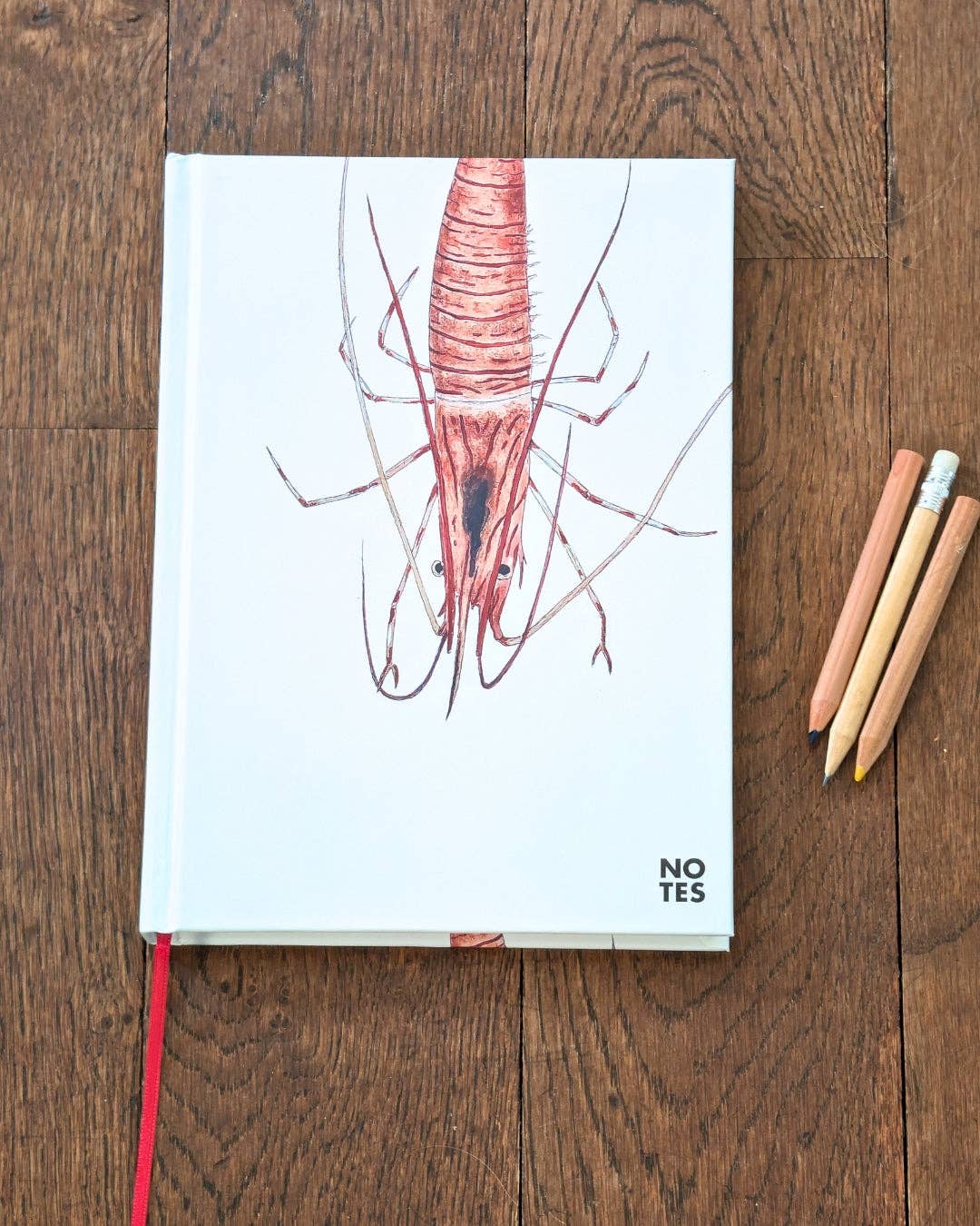 Varek Illustrations - Venta al por mayor Cuadernos - Cuaderno A5: La Gamba0