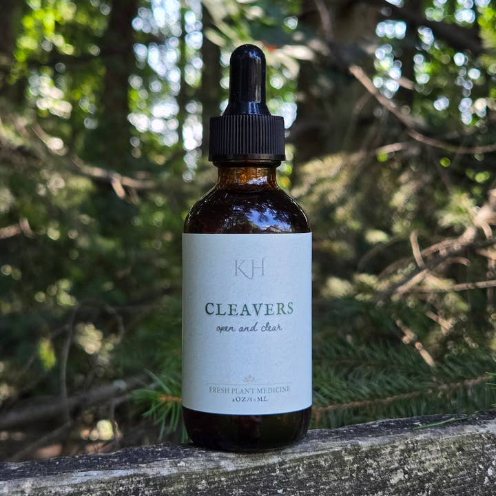 Cleavers Tincture for wholesale by Kalon Herbals