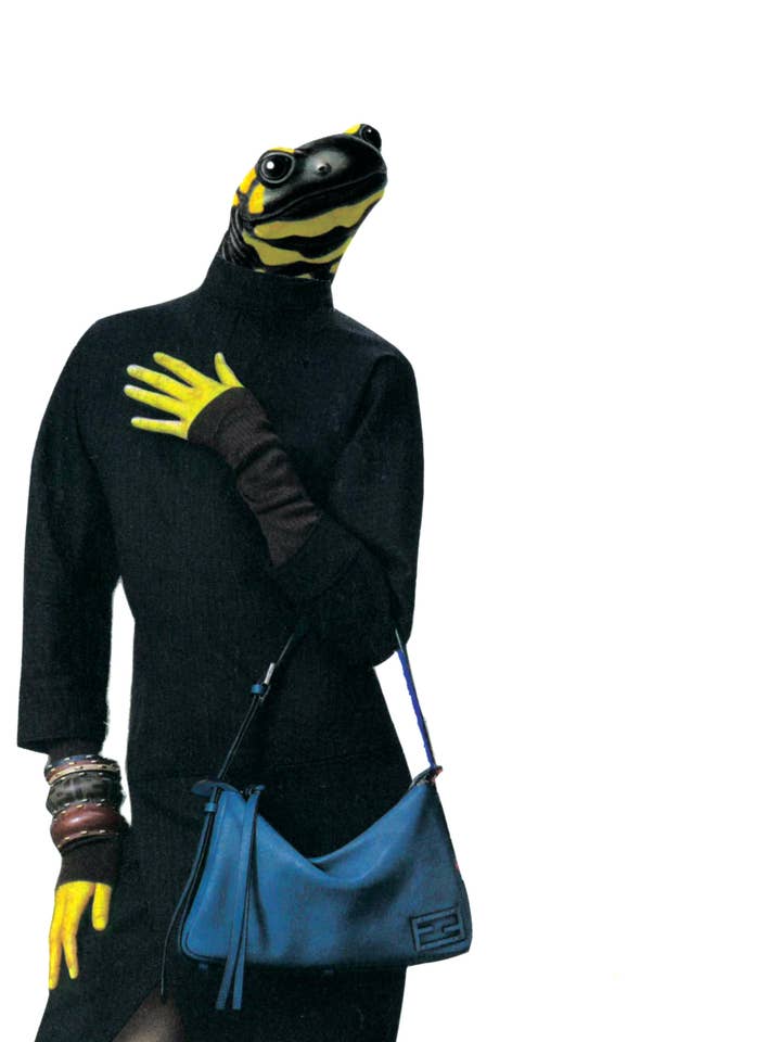 Yellow Salamander for wholesale by Rare Bird