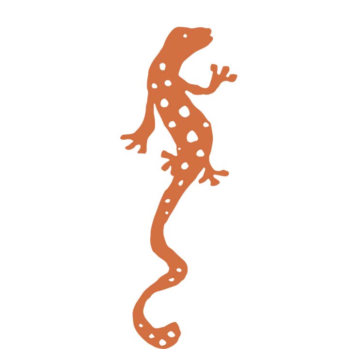 Orange Salamander Sticker for wholesale by Morning Paper dot Design