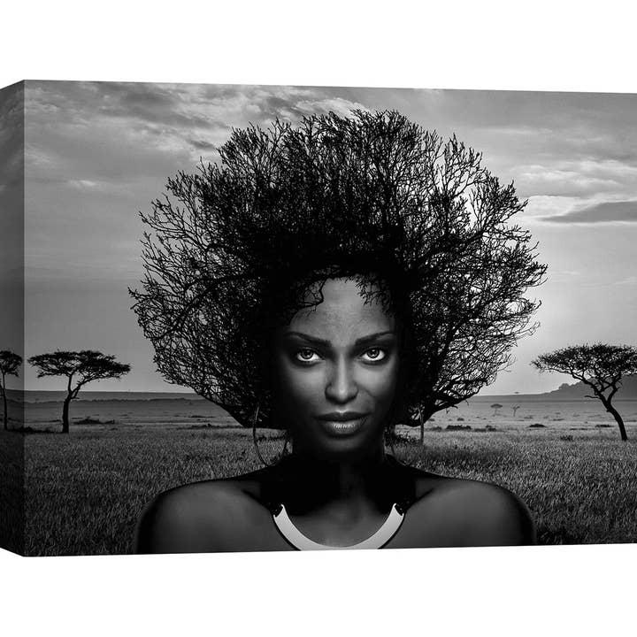 Fotografia com fotografia: Julian Lauren, Serengeti Queen por atacado de Selected Artworks Italia