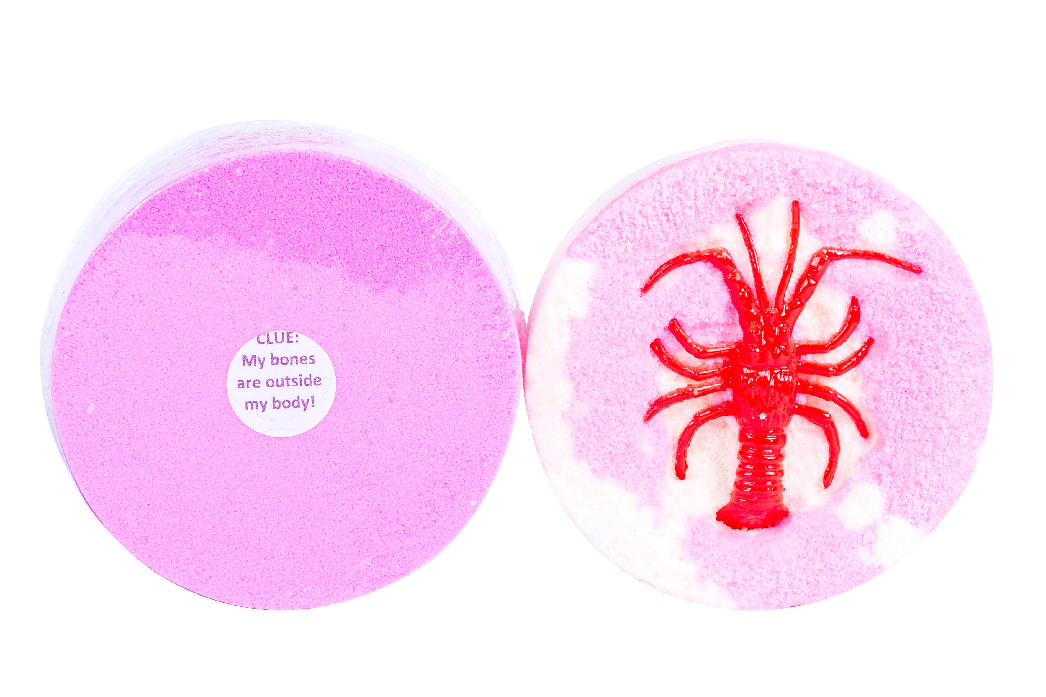 Purposeful Bliss - Fizzy Magic - Wholesale Bath Bomb/Fizz - Animal Surprise Bath Bombs – Water Toy Refill Collection



3