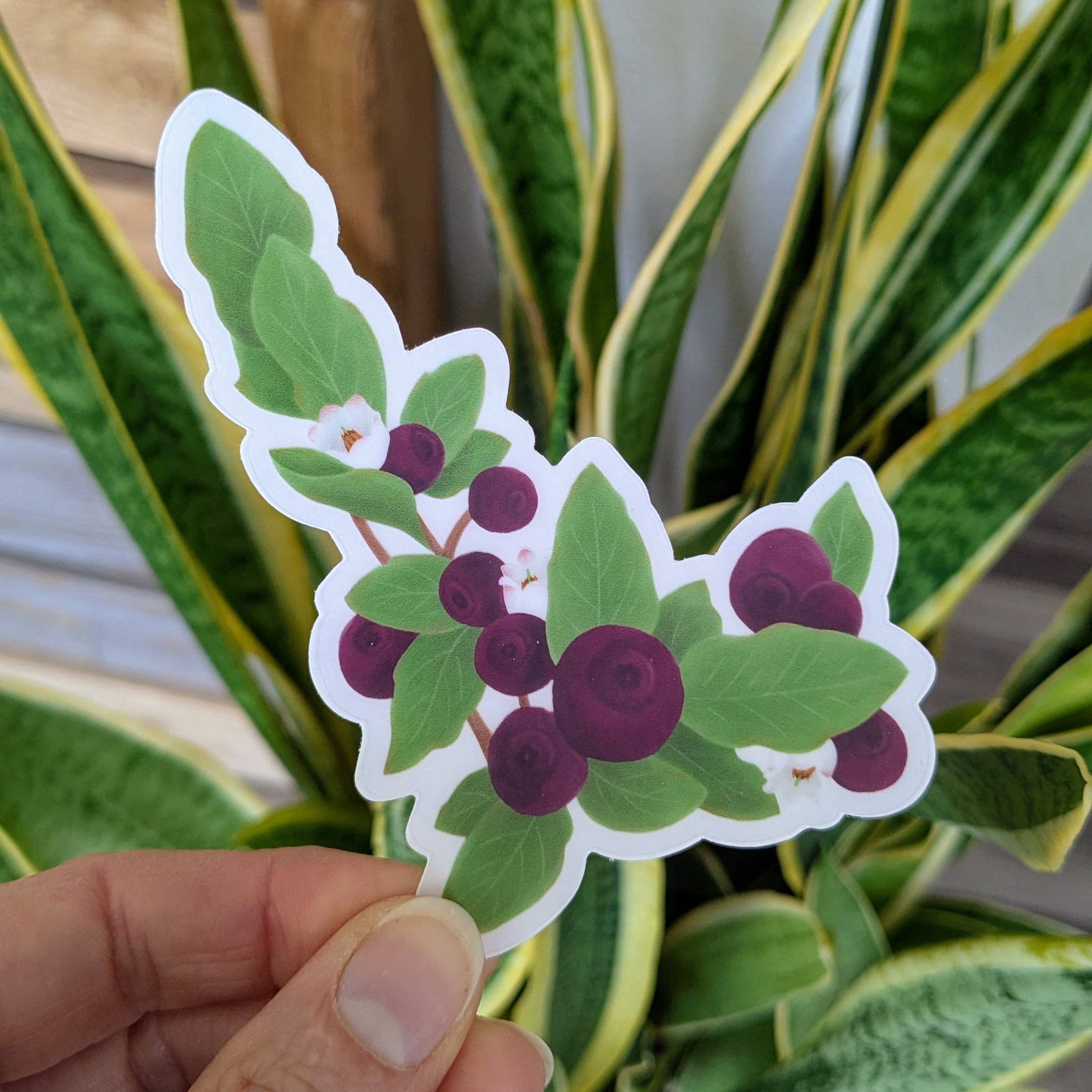 Little Studio Collective - Wholesale Sticker - Idaho Huckleberry Sticker 1