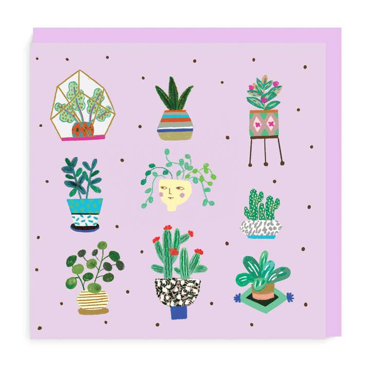 Lot de 6 plantes et pots pour la vente par Martyna Zoltaszek Studio Ltd