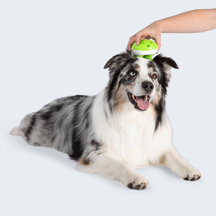What Do You Meme - Wholesale Pet Toy - Dog - Paws & Relax: The Ultimate Pet Massager