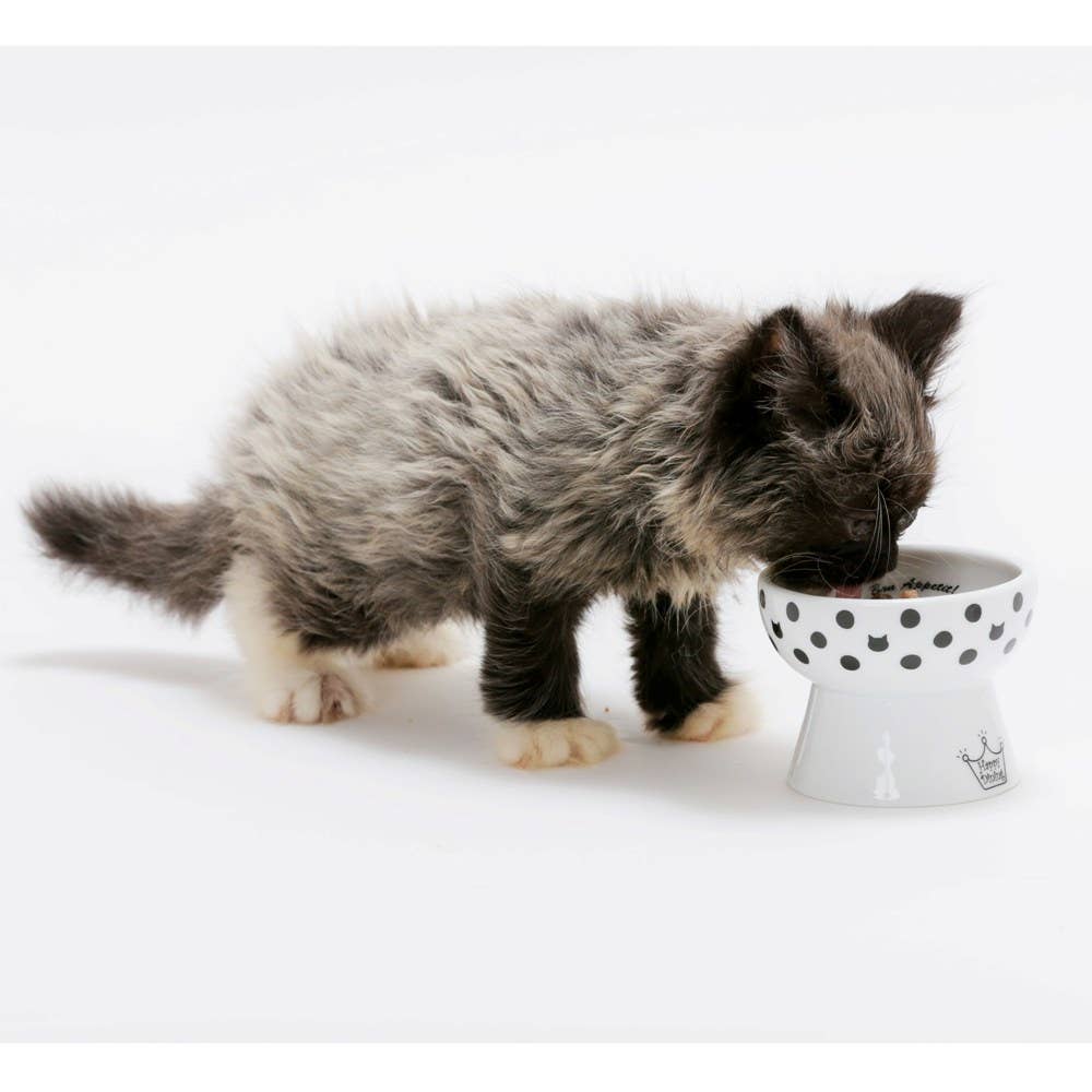 MOON-X USA, INC. – Großhandel Futternapf – Katze/Hund – Raised Mini Katzenfutternapf (Cat Dots)8