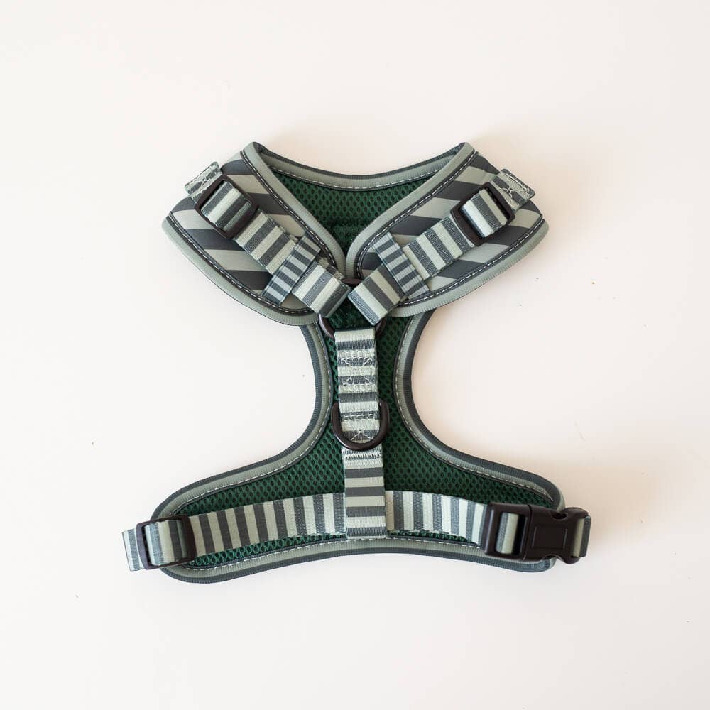 Pip and Palms - Wholesale Pet Harness - Dog - Dog Harness Stripy Stripes2