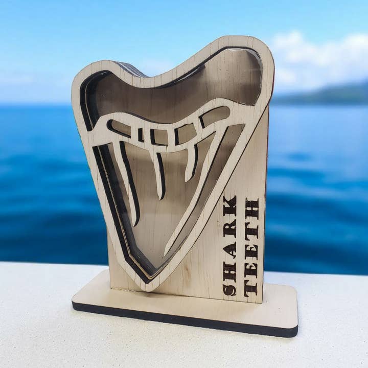 Sea Glass Displays - Wholesale Display Case - Shark Tooth Sea Glass Shadowbox Display 4 Styles0