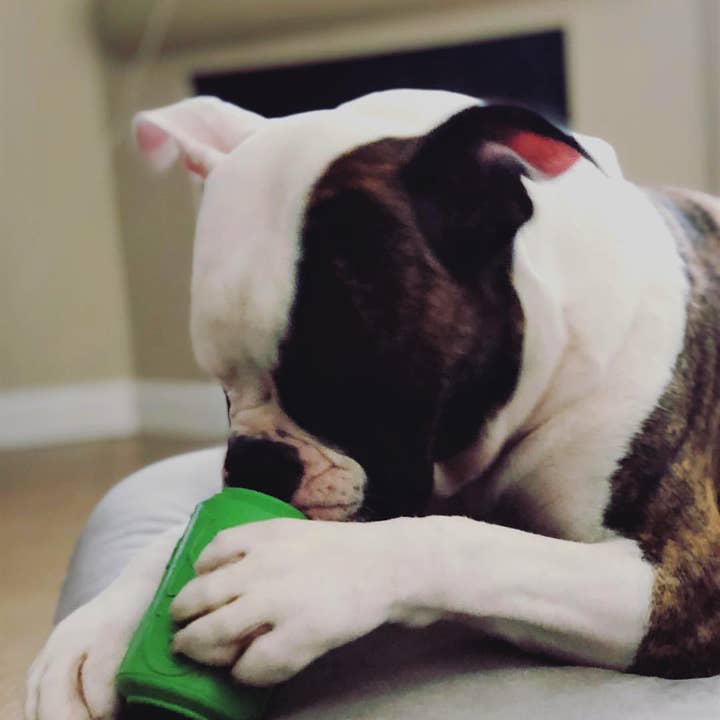 SodaPup Dog Toys - Vente Jouet à mâcher – chien - SP Can Toy - Jouet à mâcher distributeur de friandises - Plusieurs tailles et couleurs4