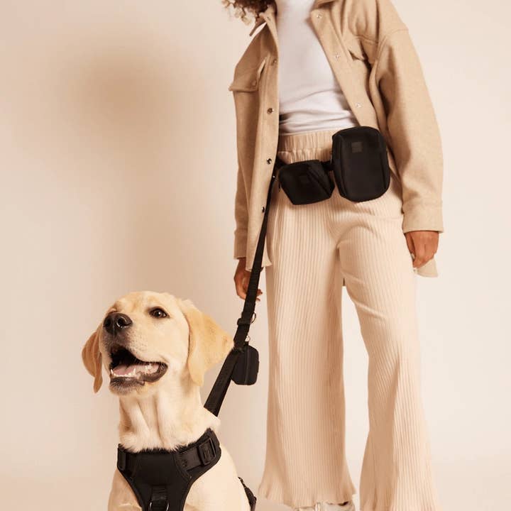 maxbone - Wholesale Pet Leash - Dog - GO! With Ease Hands-Free Leash for Dogs13