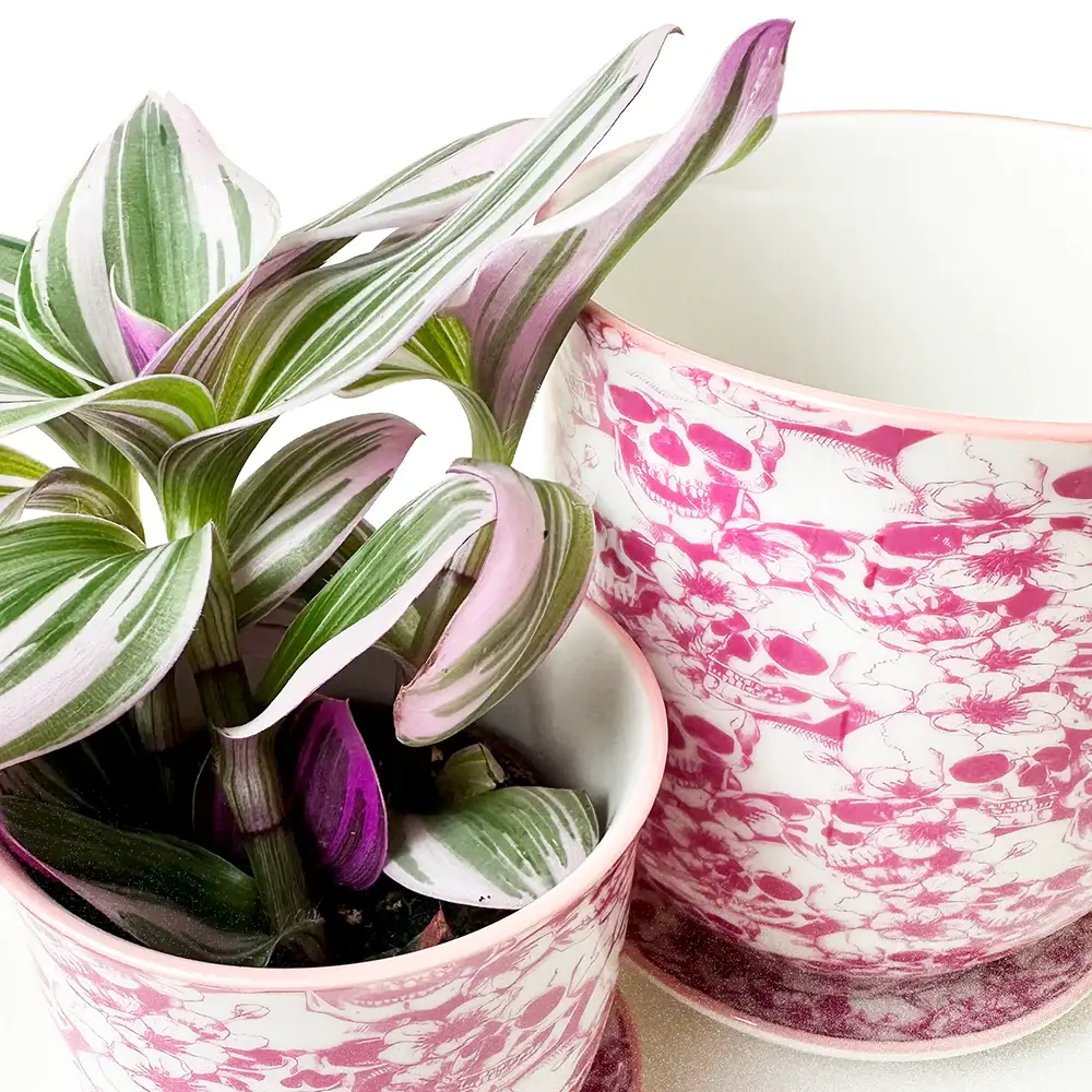 Chive UK - Vente Pot - Liberte 5 - Pot en porcelaine émaillée, motifs variés12