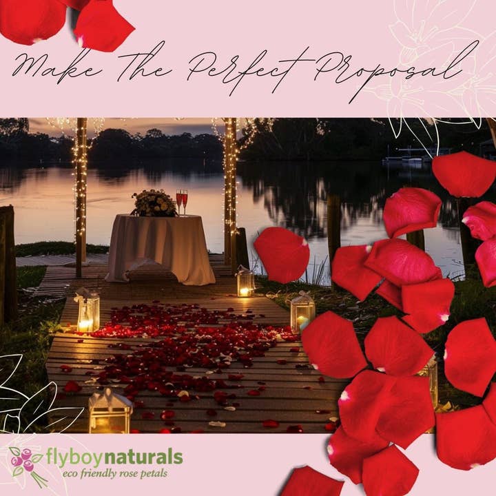 Flyboy Naturals Rose Petals - Wholesale Dried/pressed flowers - Romantic Red Rose Petals – 30 Cups Real • Freeze-Dried • USA11