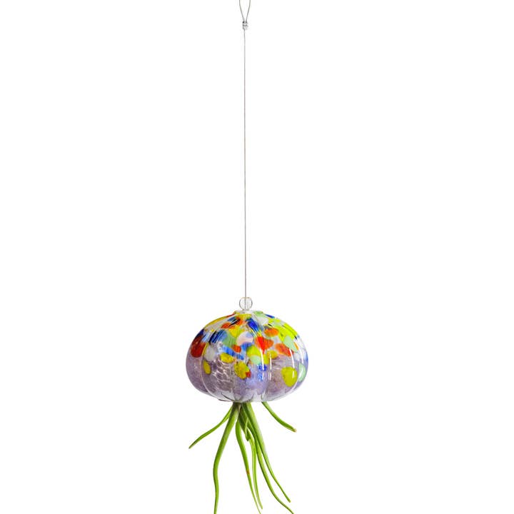 ApricotMint - Wholesale Hanging Planter - Cauliflower Jellyfish Air Plant Holder (plant not included)