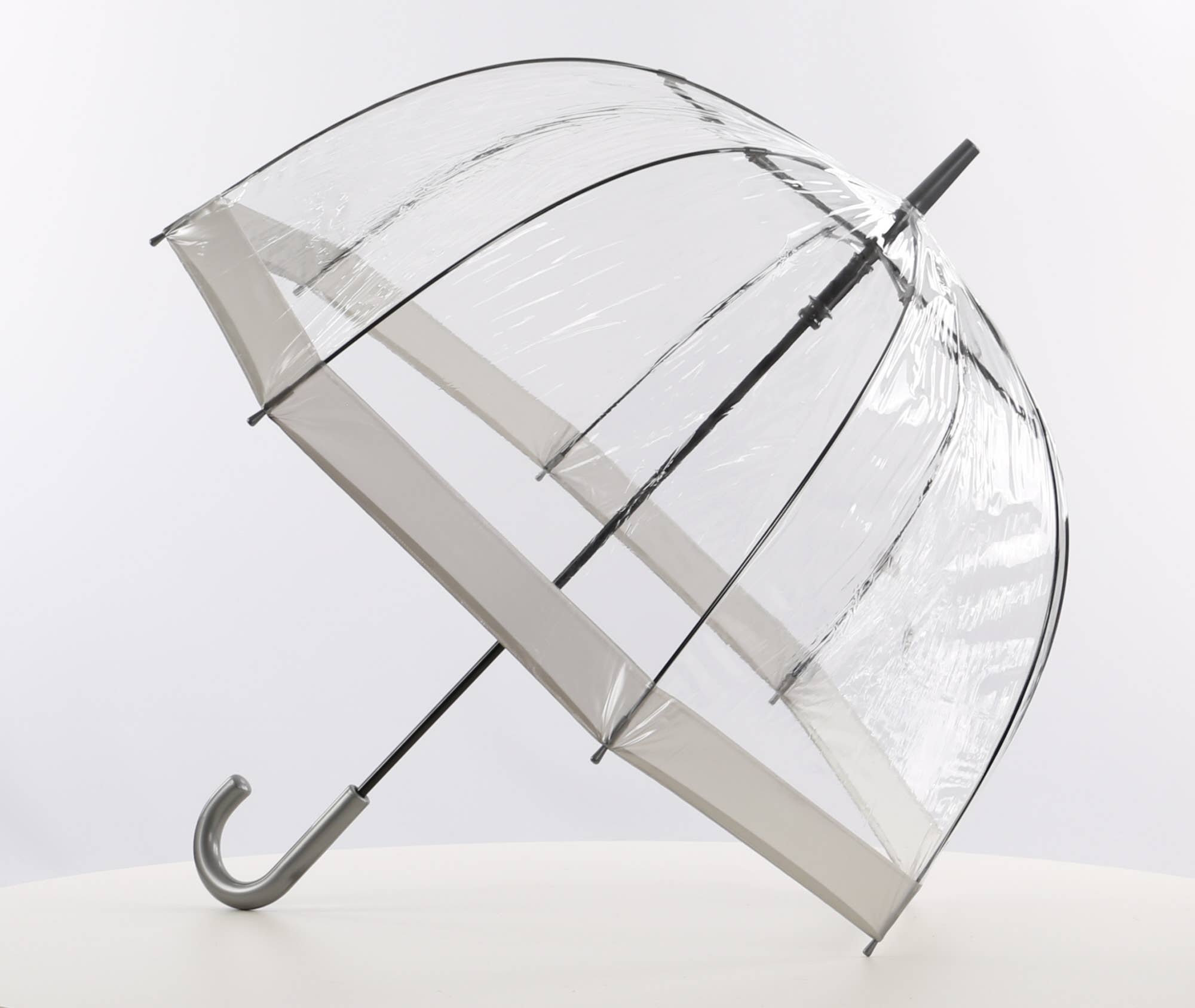 Everyday Clear Dome Vinyl Umbrella Silver - EDBCS for wholesale on Faire1