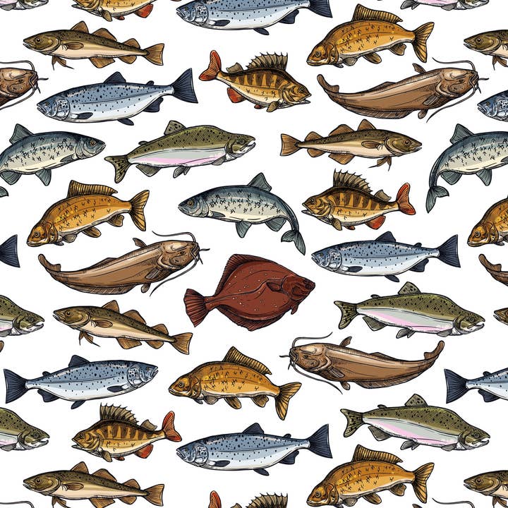 Stesha Party - Wholesale Flat Wrap - Fish Wrapping Paper