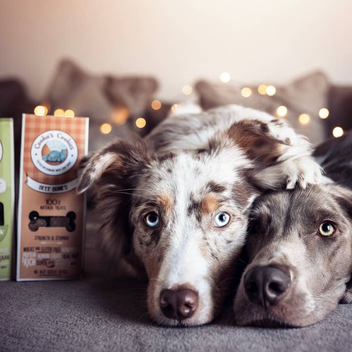 Cooka's Cookies - Wholesale Pet Treats - Dog - Beef Bones - Natural Dog Treats5