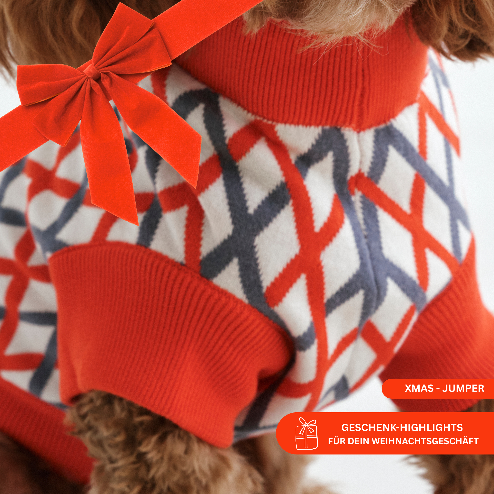 lumiies - high visibility - Wholesale Hondentrui - Hond - DE COTTONEN TRUI (Kersteditie)3