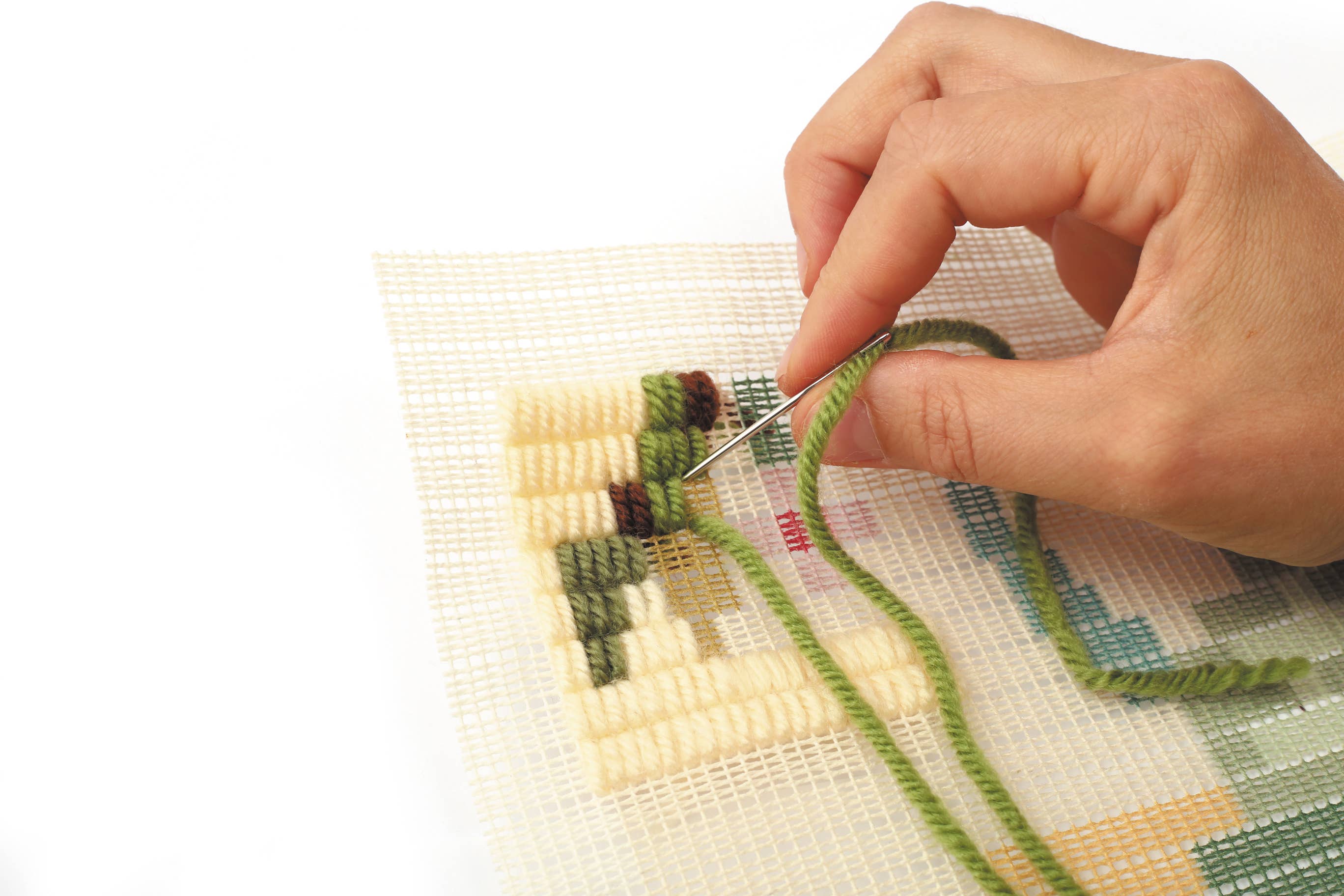 Graine Créative - Venta al por mayor Kit de manualidades - Kit de lienzo escarabajo8