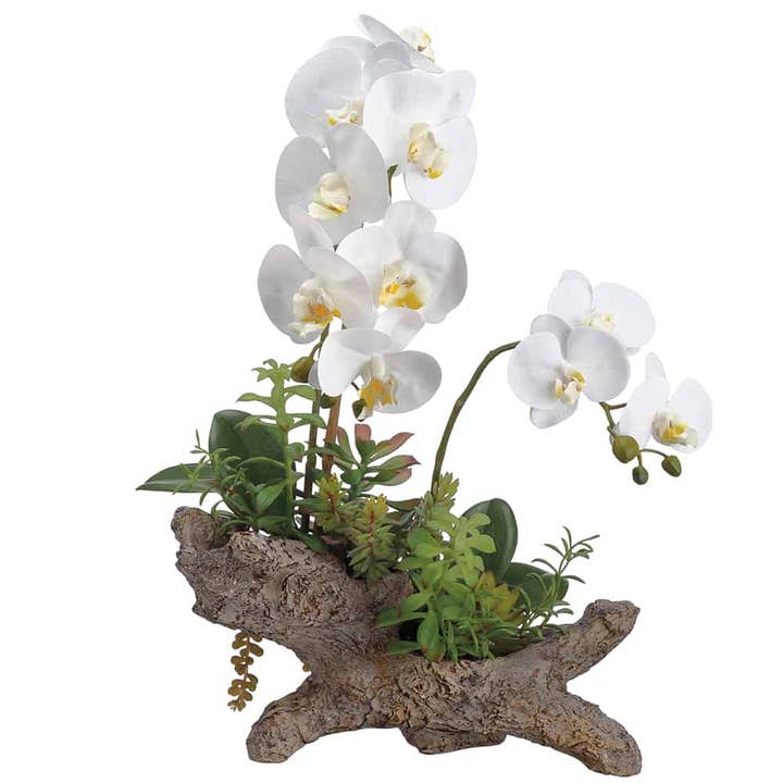 21" Phalaenopsis Orchid/ Succulent in Cement Log White Green for wholesale by Silk Flower Depot