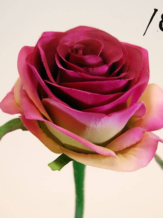 Pink X1 Fushia SUV. 57 cm (8 cm) for wholesale by Aguilar Málaga