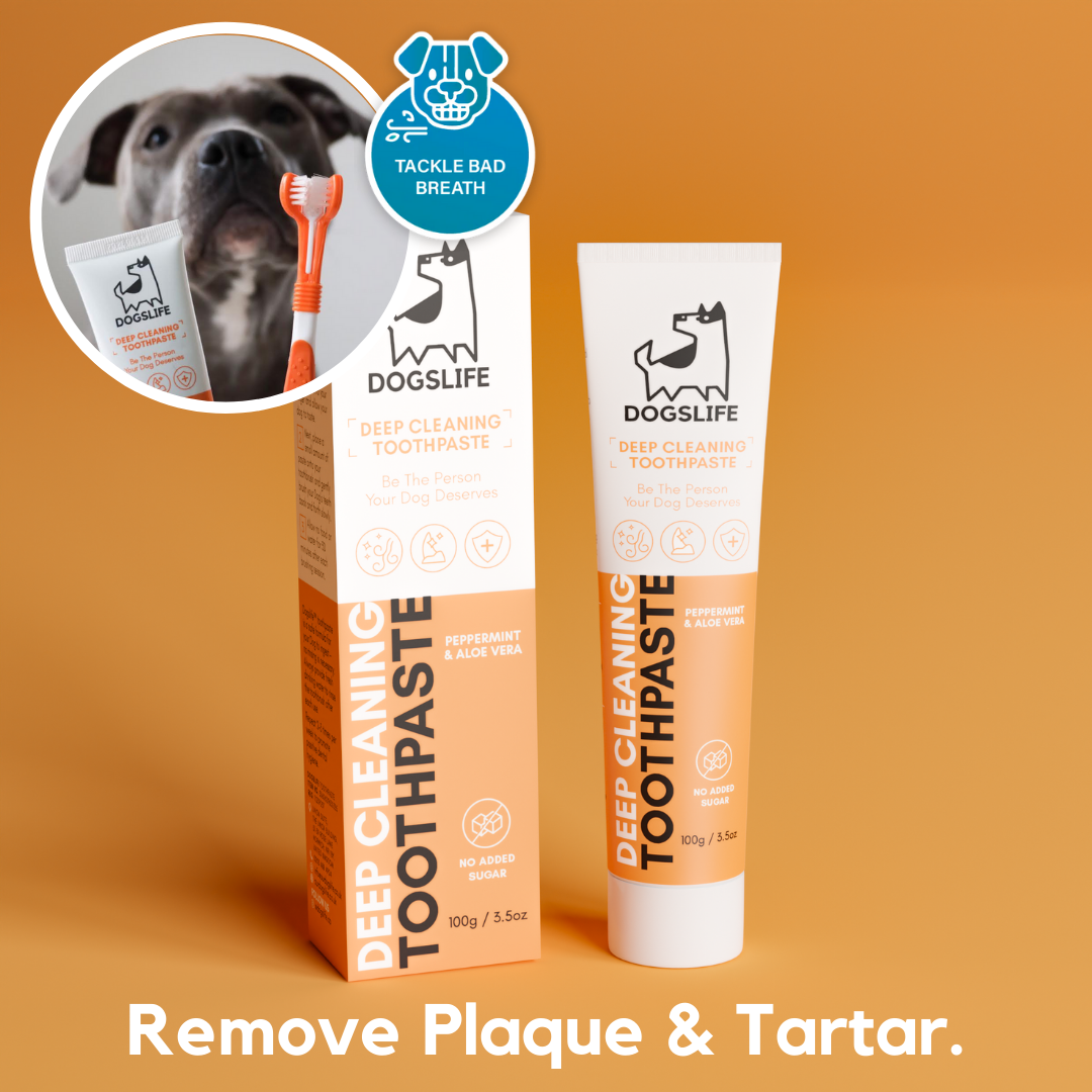 OurPetsLife – wholesale Pet toothpaste – Dog – Toothpaste for Dogs7